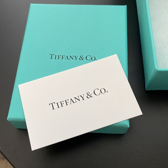 Tiffany & Co shopping bag with box, pouch and silver care card - Picture 3 of 8